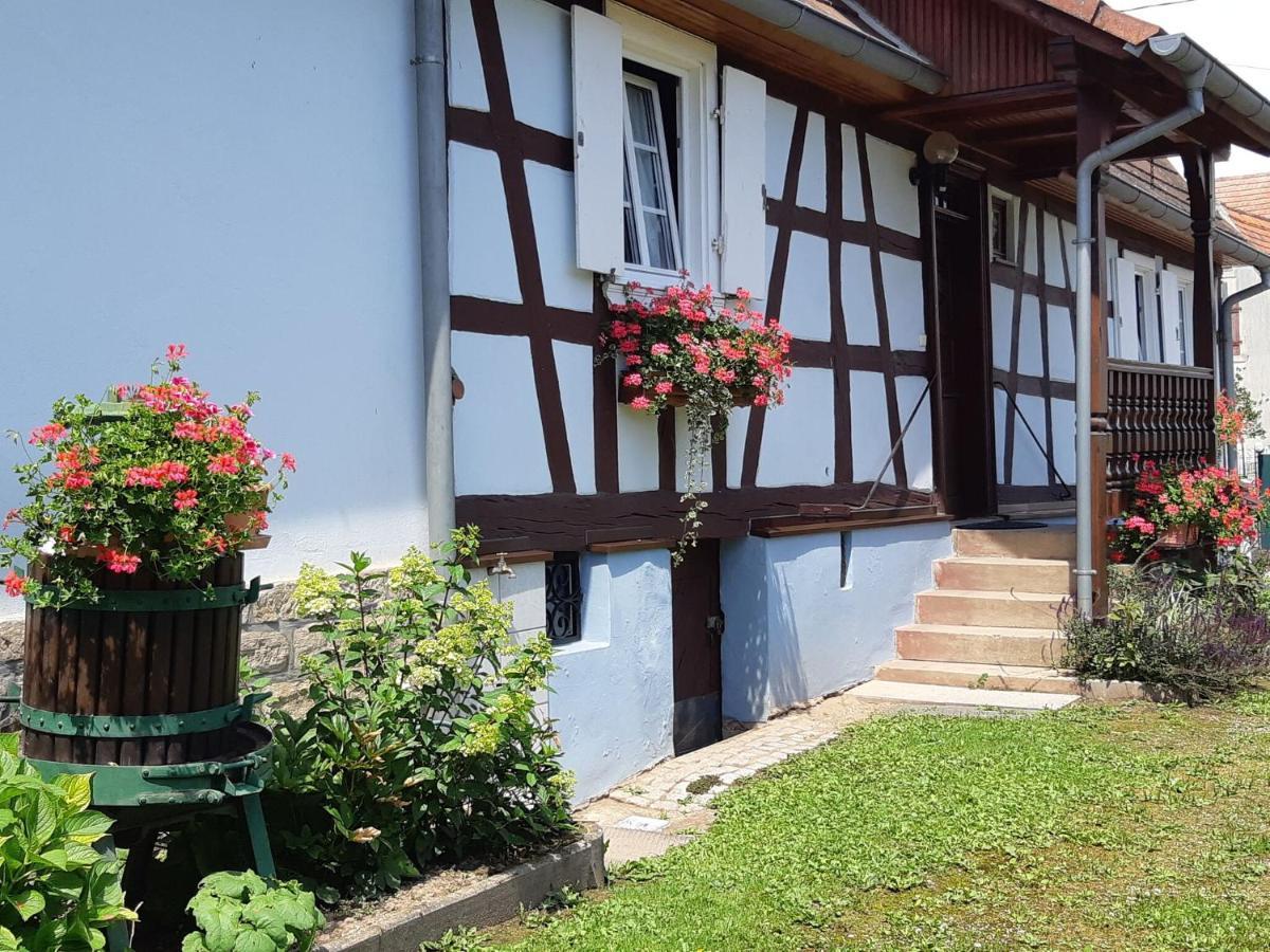 Cosy Holiday Home In Schleithal With Garden Exteriör bild
