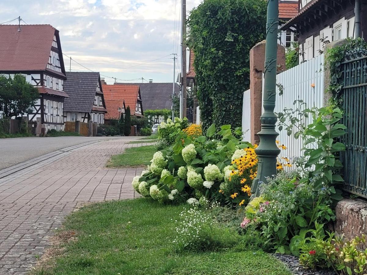 Cosy Holiday Home In Schleithal With Garden Exteriör bild
